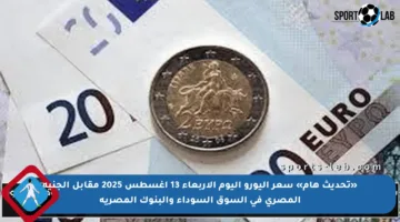 «تحديث هام» سعر اليورو اليوم الأربعاء 13 أغسطس 2025 مقابل الجنيه المصري في السوق السوداء والبنوك المصرية